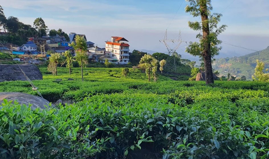 Bison Valley, Idukki, Kerala - Vushii.com Bison Valley, Idukki, Kerala - Vushii.com